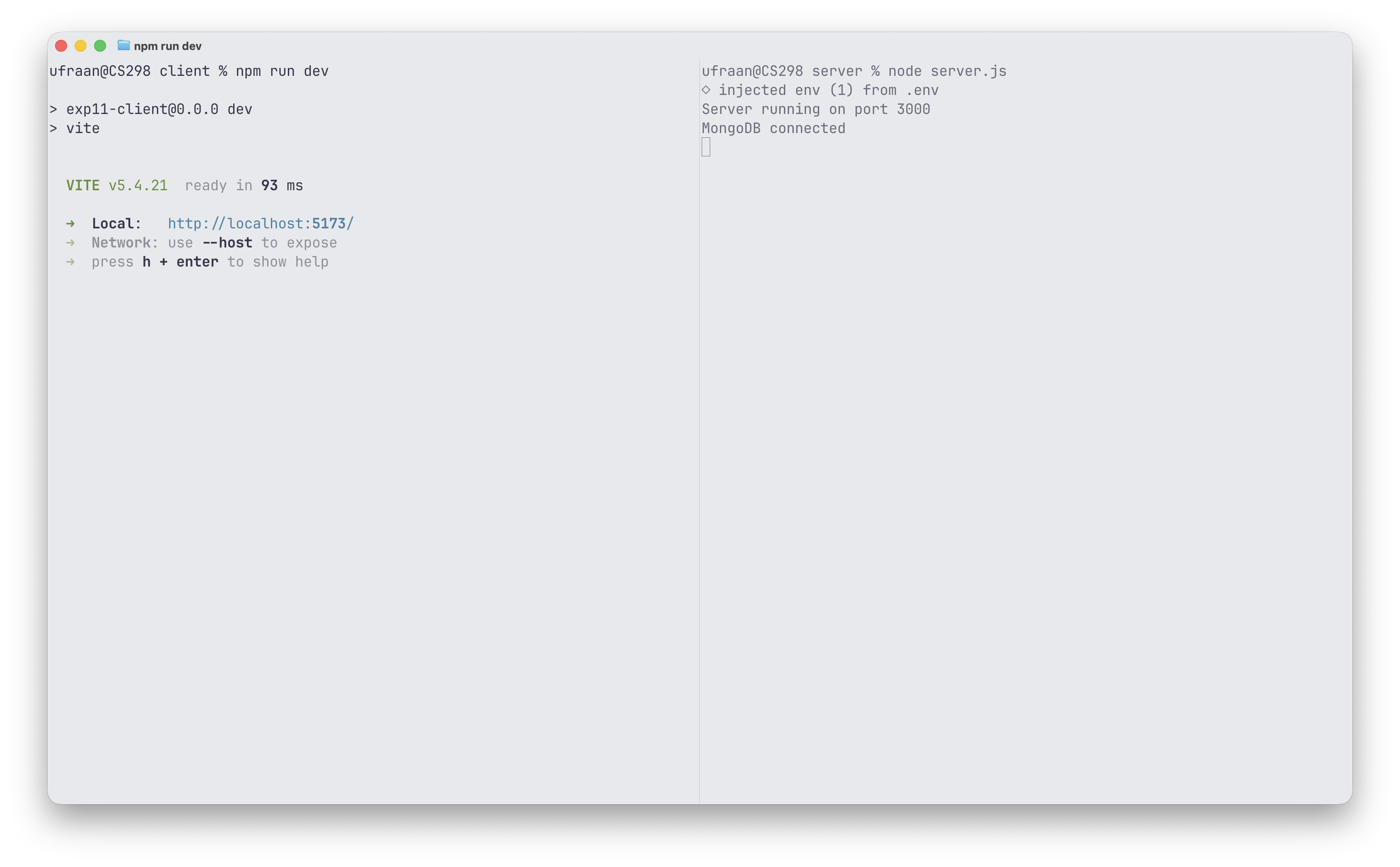 Terminal — client npm run dev & server node server.js