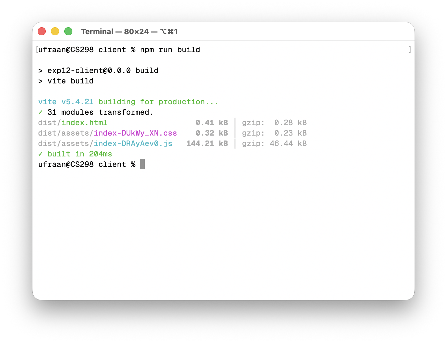 Terminal — npm run build with dist output