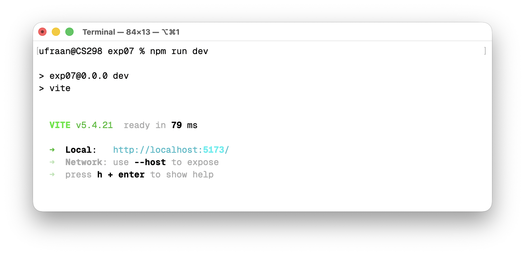 Terminal — npm run dev