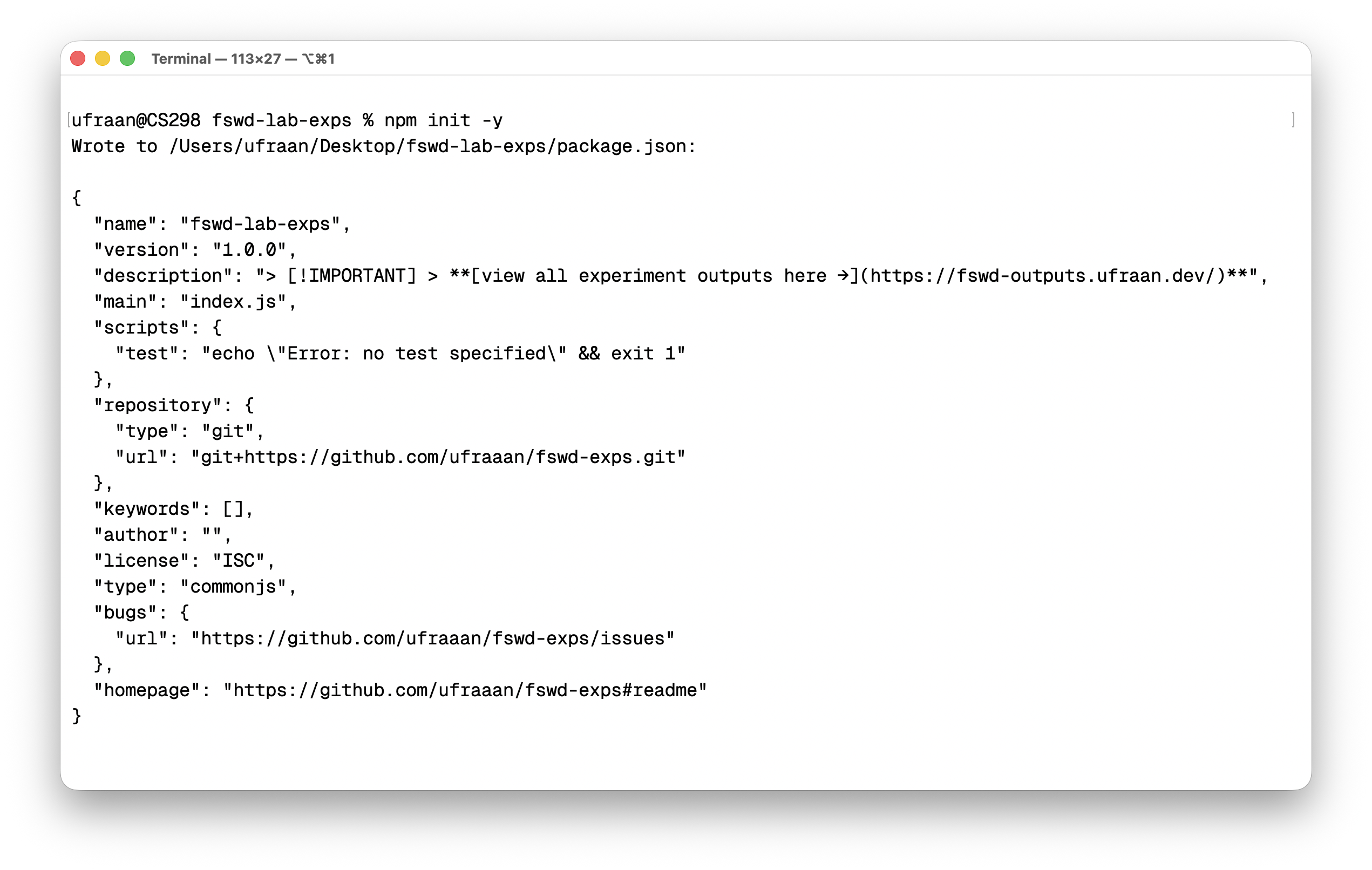 Terminal — npm init