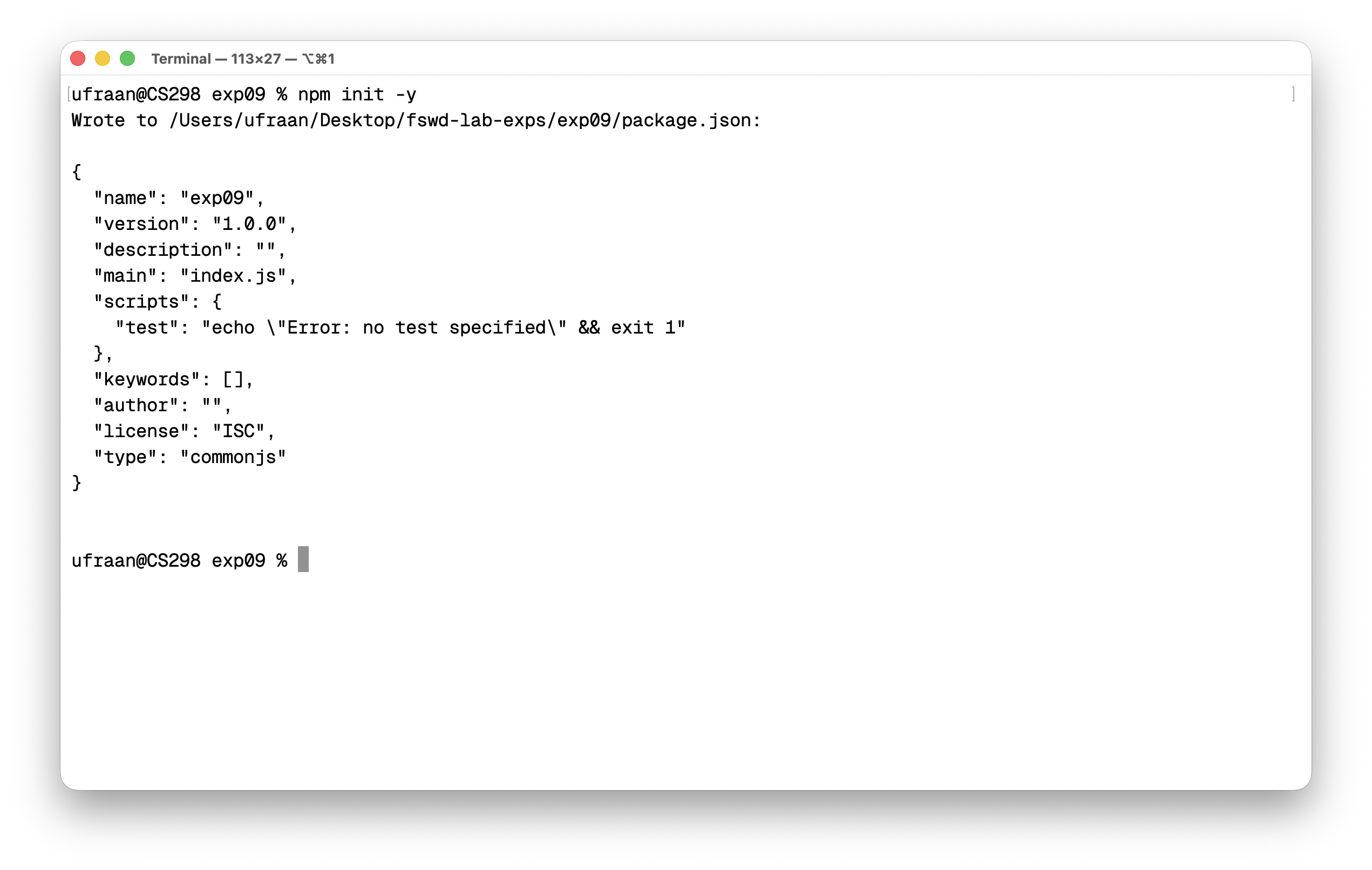 npm init